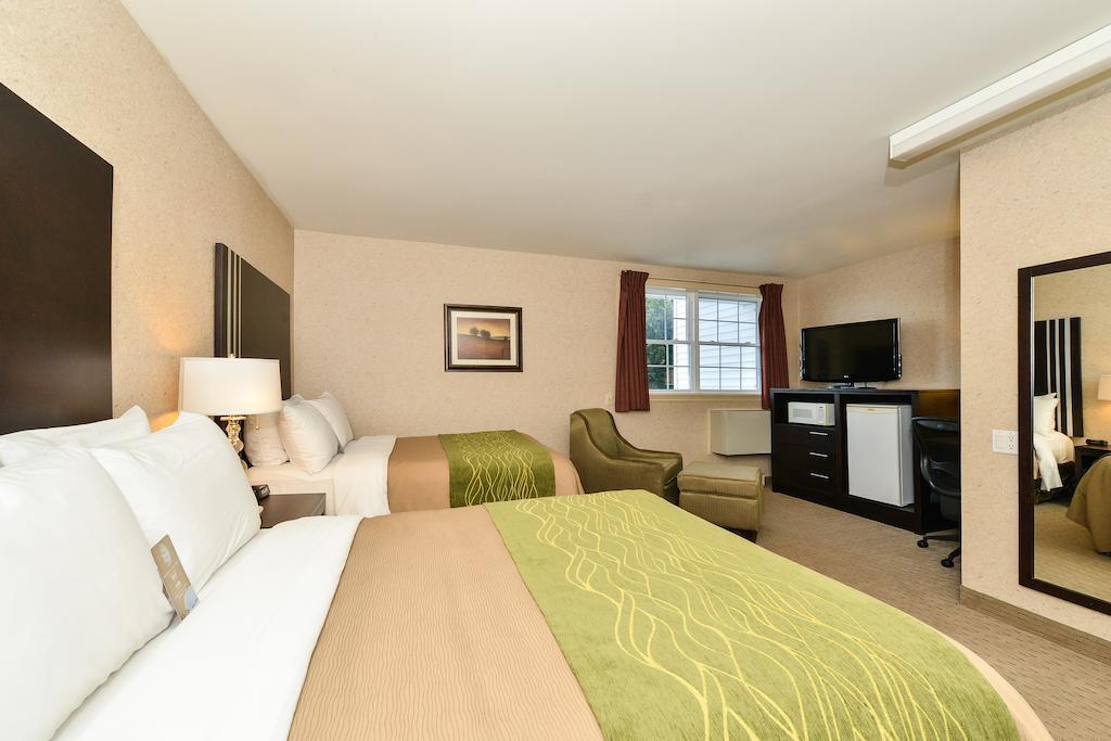 Comfort Mini-hôtel 3*