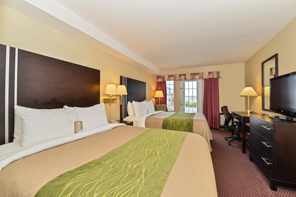 Mini-hôtel Comfort Halifax