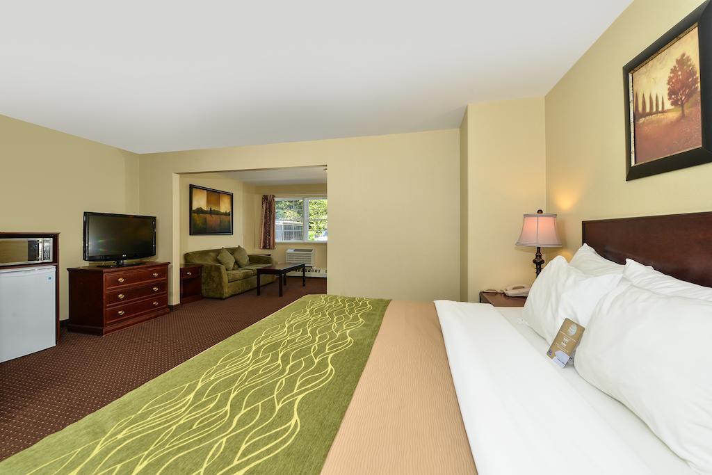 Comfort Mini-hôtel 3*